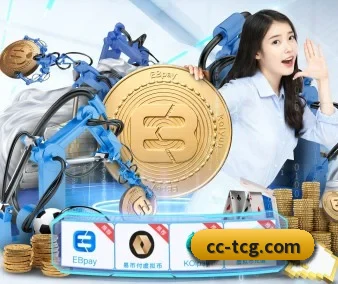 持续创新